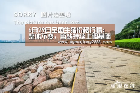 6月29日全国生猪价格行情:整体不变,暂缺持续上调基础:PG电子登录入口(图3) PG电子登录入口
