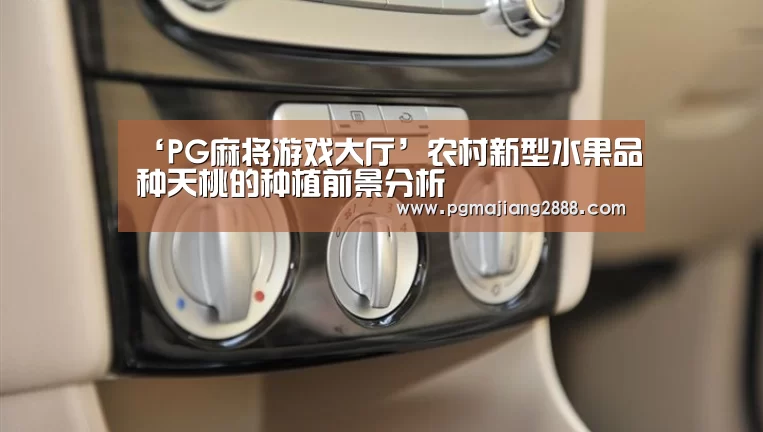 PG麻将官网