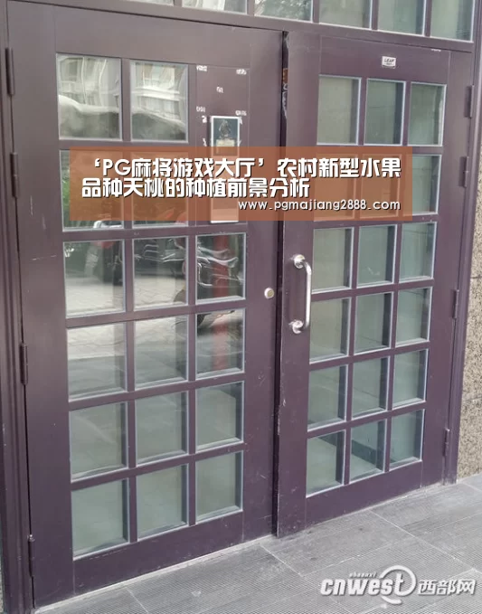 PG官方网站