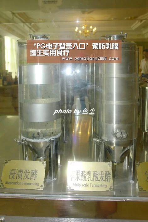 PG麻将官网